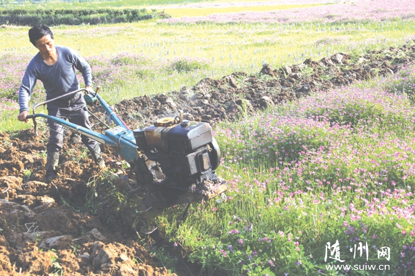 ���ػ�����ũ�����õ�ǰ���������������չũҵ����