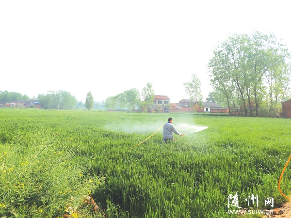 ���ذ�����ũ����֯�Ƽ���ԱЭ��ũ����ѧ�����γ�