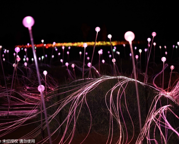 ��������5��ŵ��ݽ�����ԭҰ��ɷ���ɭ�� ������������þ�