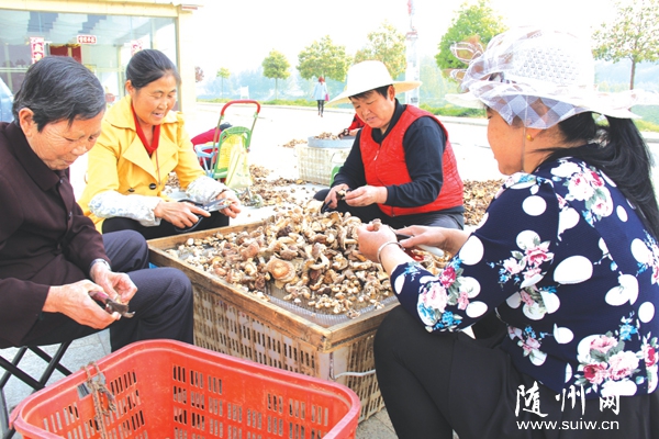 ���ػ�̶����317��ƶ�������������ֲ�㹽��ҵ��ƶ��