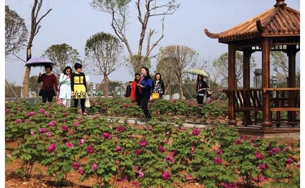 ��̬�۹����Ρ�������