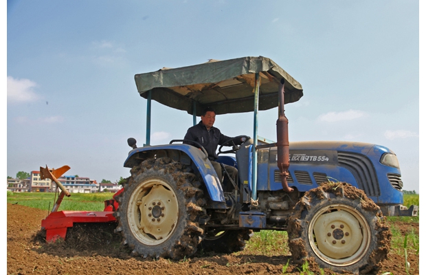 ��������æ