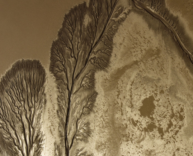 ��������Ӻ�����Ƭ�·�����ֲ�