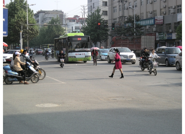 ���䰮�������������С�