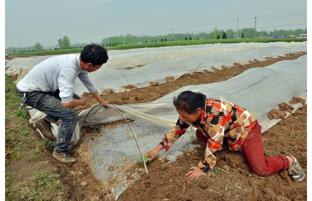 ���������������������г��������������ֲ�ṹ