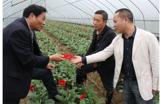 �������ε���150Ķ�ʻ�ϲ�����