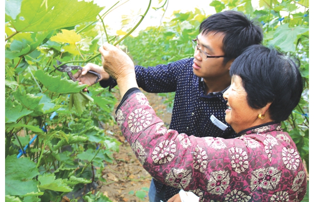 ������������ũ������רҵ����Э���600Ķ���ѳ���ϲ��