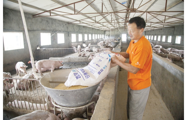 �����и��ؽ����������Ƴ��¾ٴ룬��������Ͷ�ʻ��������������Ա���紴ҵ