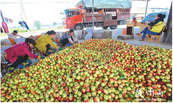 ��������������������