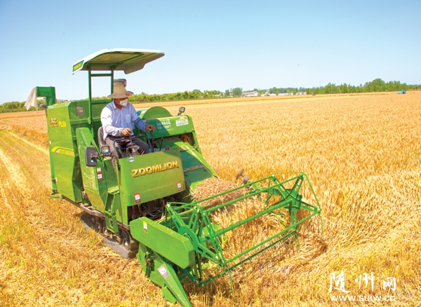 ����С�����æ