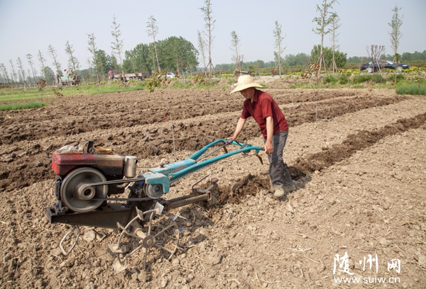 ����Ϊ����