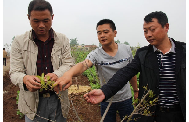 ������������רҵ��������㽭��������÷��ǰ�ѿ�ʼ�ҹ�