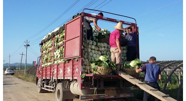 ������������ײ������������Ϻ��ȵ�