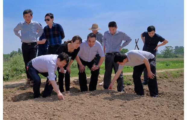 ����פ��ˮ������߷�幤���ӵ���½��ѧϰ�ٻ�����ֲ����