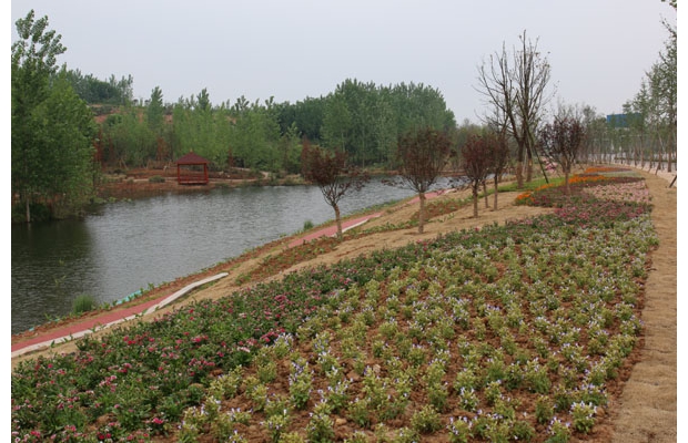 �������ƽ�������ɫ����