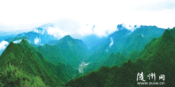 ���鲻һ��Ĵ��ɽ��ζ����