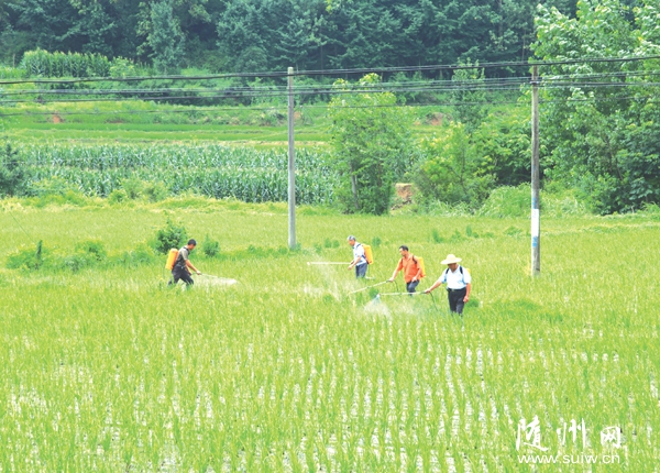 ��������������֯��Ⱥ��ˮ��ũ���������