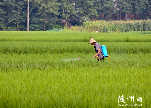 ������ɽ��ũ��չ����������������β����ֺ�