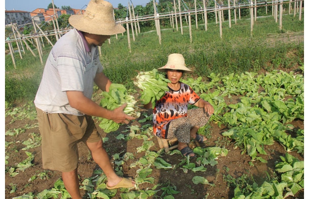 �����߲�֧�������г���Ӧ