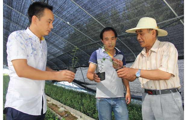 ��ũ����ڶ���ݮ԰��ѧָ�����ȴ�ʩ