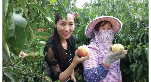 �����򻪱�ɽˮ��ũ��רҵ������ϲ�����