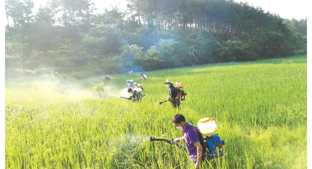 ��ˮ����ƺ��Ѹ�ٶ�Ա�������ֺ󲡳���ι���ս