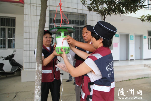 �����м���������������չ�ֺ󻷾������͡��ĺ���ɱ����