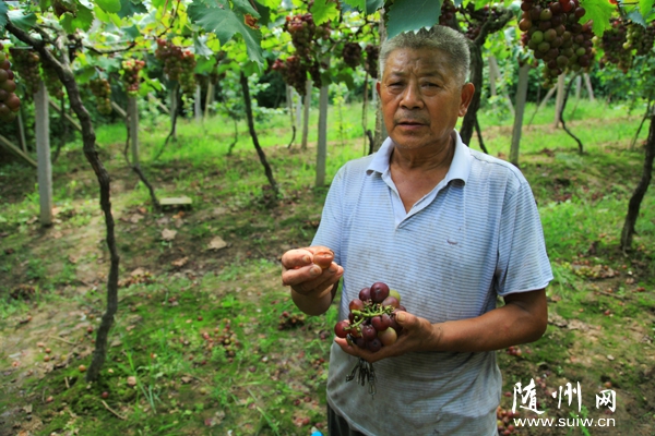 ��������������ǣ�ߴ��ţ�������ֲ��������ʧ