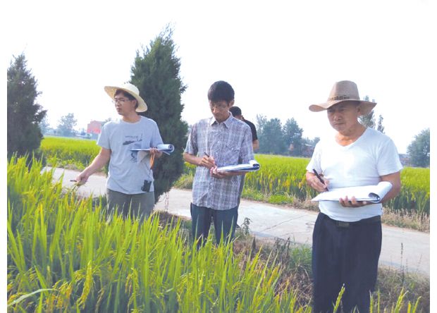 ʡ���ӹ�����ˮ���������鿼�������濼��