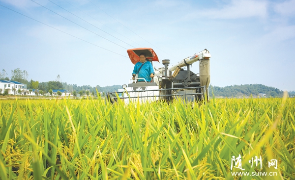 ʡũ��Ժר�ҶԺε��������߲�ʾ��Ƭˮ�����