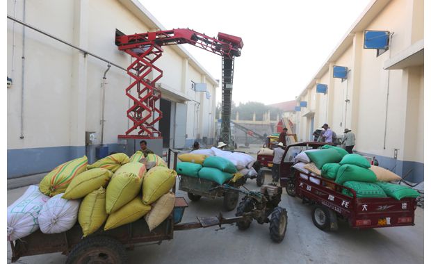 ����������2016�������̵�����չ���Ԥ��