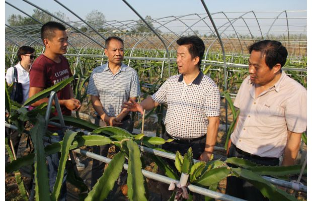 ���ݿ�Э����ʡ��Эר����������������