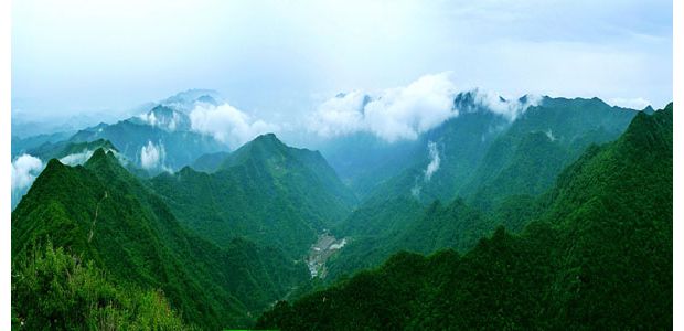 �Ǵ��ɽ�� �������߷�