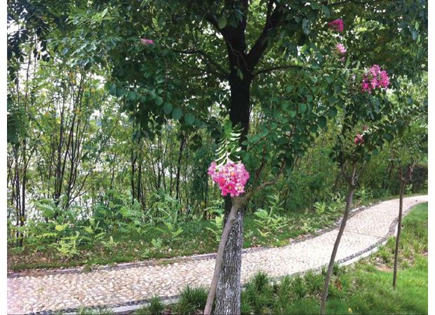 �����в��ϼӿ���̬԰���̻����̽���