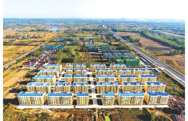 �����д����ƽ��ﻧ������