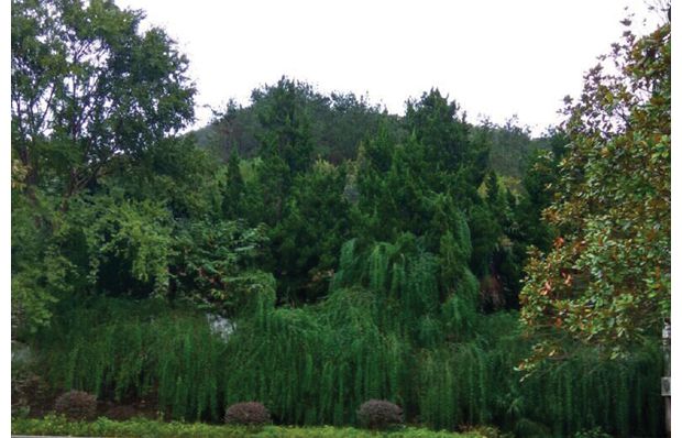 ��ˮ���л�ɽ�������ץ���ֺ͹ܻ�����