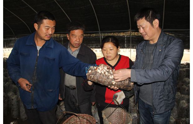 ��������ίפ����������ƶ�����ӡ������ڴ��飬�������