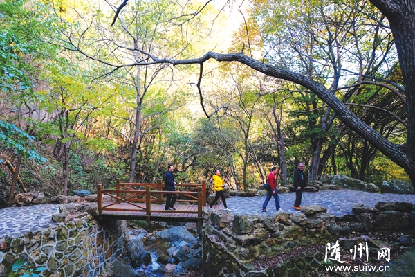 ���־�Ⱦ������ô��ɽӭ�����Ҷ��