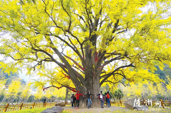 ���ɽǧ������������