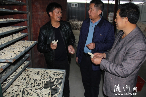 ר��ָ������������ũ����Ʒ��ֲרҵ��������ֲ��ݥ��