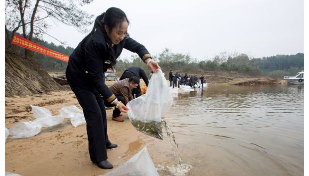 ������ũҵ�����Ⱦ���ˮ�⿪չ��ҵ��Դ�˹���ֳ�����