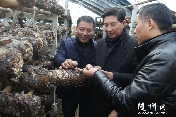 ����ʳ�þ�Э��ר�ҵ�������������ָ���㹽����