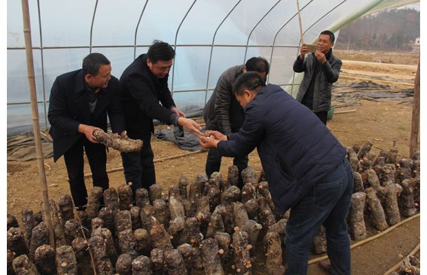 ����ʡʳ�þ�Э��᳤����ũ����ڱ�����ָ���ֺ��ؽ��������㹽����