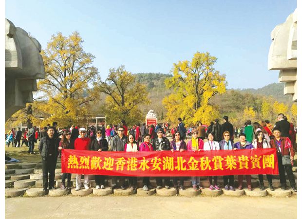 ������۵��ο�Ľ����������ǧ�����ӹȾ���