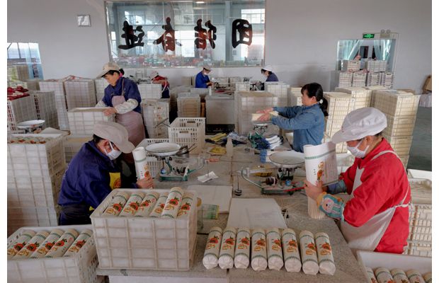 ������������ʳ�������޹�˾�Ӱ�ӵ���ɶ���