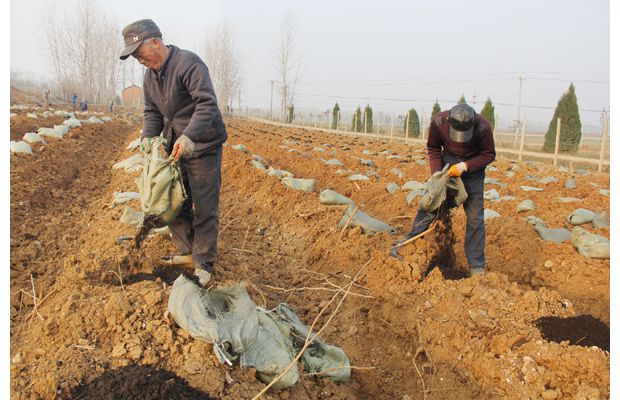 �������ϴٻ����������ͷ��������ֲ��ݮ