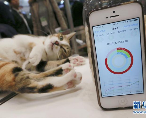 ����ɴ����豸 2017��01��20�� 08:50:49 | ��Դ���»���