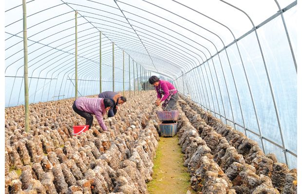 �����㹽��Ʈ�人