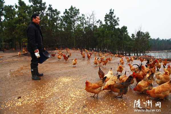 ��ɽ������Ӵ�����������޵��ֵؿ�չɽ����������߾�������