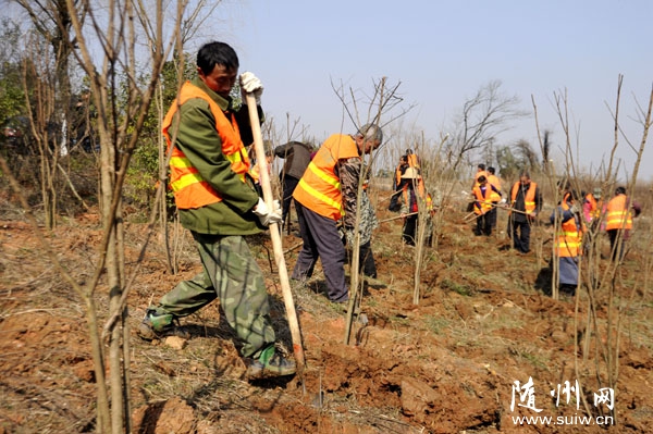 ������ũ���Թ�˾���׵۴�����̻��۹�����̻���ʩ���о�ϸ������